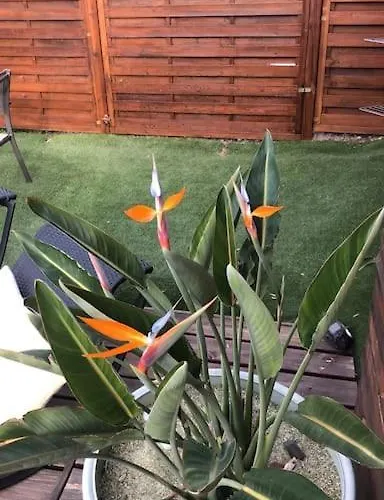 Superbe Près Du Cap D'agde